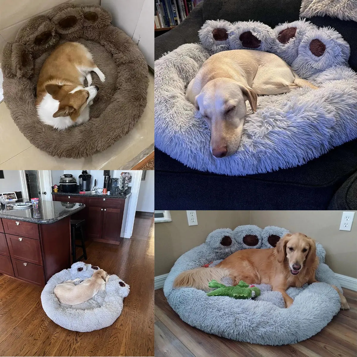 Dog Sofa Bed