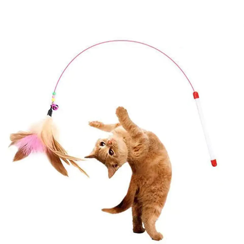 Feathers Cat Toy