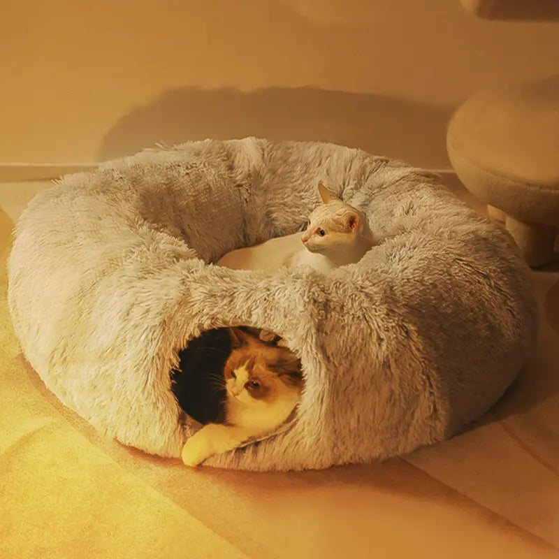 2 in 1 Cat House and Bed